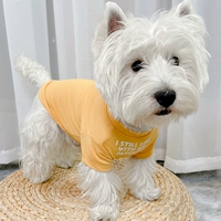 Тропическая апельсиновая рубашка