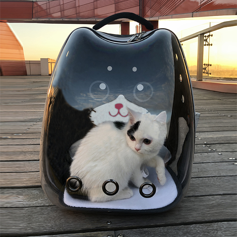 Cat Bag Out of Portable Space Cabin Kitty Dog Pet Takeaway with Shoulder Bag bag Cat Space Double Shoulder Bag Cute