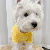 Мин Хуан-Т-Ширта