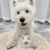 Футбол [аудиотистичные зубы Assassin]