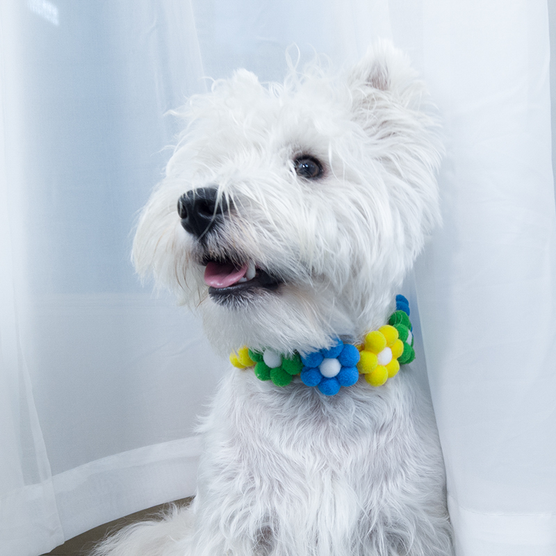 Kitty Neck Ornament Dog Necklace Pet Cat Item Lap Cute Small Dog Collar Handwoven Wool Ball Trim-Taobao