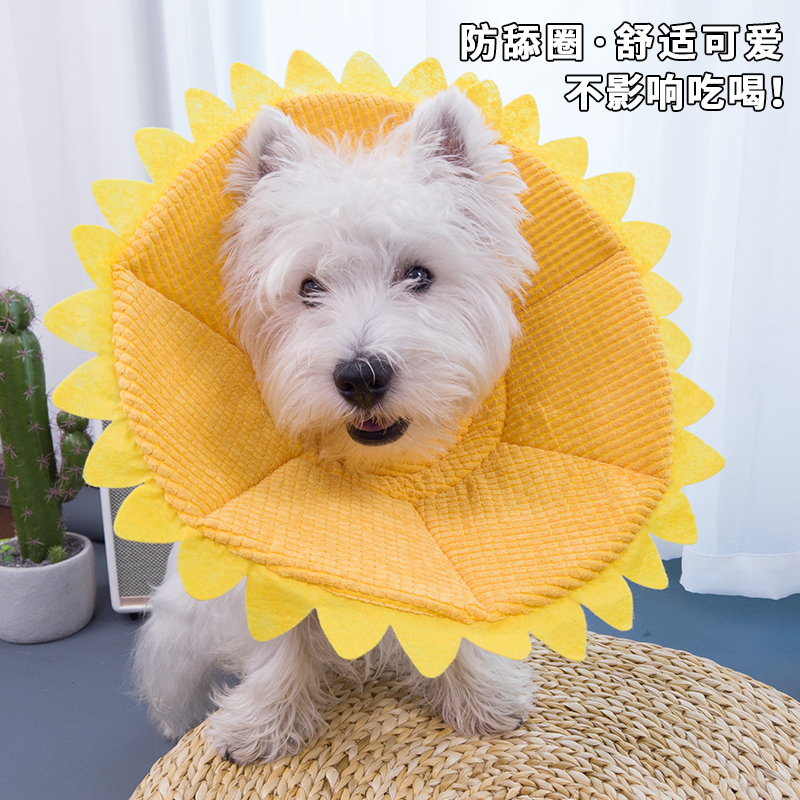 Elizabeth Circle Cat and Dog Cat Neck Jewelry Small Dog Medium Dog Anti-licking Headgear Soft Small Shame Circle