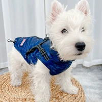 Тибетские синие буквы [3 анти -нудл рефлексивное обновление]