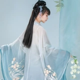 2025 Новая династия сундов ханфу женщин оригинальный красивый и элегантный древний стиль маленький человек супер сказочный китайский стиль сказки древний костюм Весна