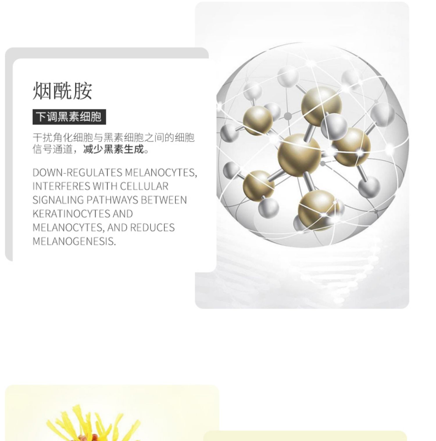 Devo XEQ Formula Deep Cleansing Mask 3 lần Cleansing Pore Mask Làm sáng dưỡng ẩm - Mặt nạ mặt nạ bùn khoáng