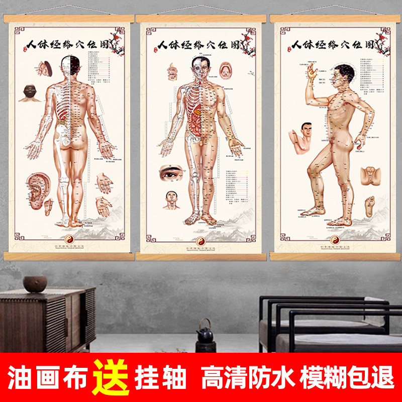Body Acupuncture Acupoints Map of Chinese Medicine Meridian Physical Therapy Moxibustion Acupoints of Meridian Physical Therapy Moxibustion Acupoints for Domestic Systemic Meridians Hang Paintings