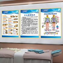 Traditional Chinese Medicine Health Preservation Original Point Covering Range Schematic Decoration Painting Human Body Acupoint Chart Wall Chart Pushback Massage Poster