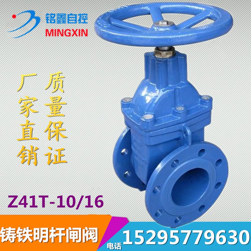 Z41T-10 16 water with clear stem cast iron flange gate valve DN50 65 80100125150200250
