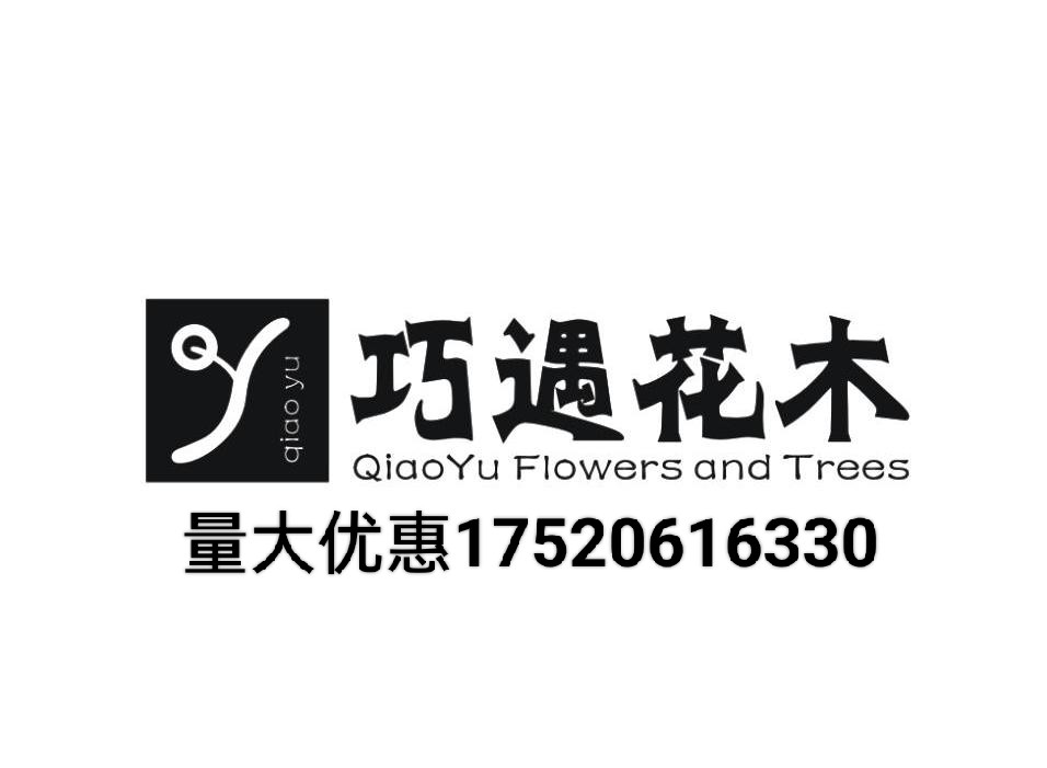 远洋花木的LOGO