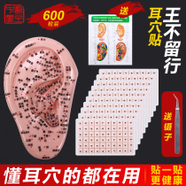  Auricular point patch Wang Unrestrained Seed auricular point pressure pill patch Hypoallergenic myopia Ear bean pressure point massage acupressure patch