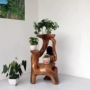 Root khắc khung phòng khách gỗ rắn nghệ thuật tự nhiên gốc cây trong nhà bonsai nhiều lớp long não gỗ trang trí sàn kệ - Các món ăn khao khát gốc bàn ghế gốc cây xà cừ