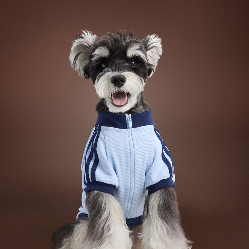 90% off Special Zone | Brand Pet Classic Coat Knitted Zipper Three-Stripe Clothes Dog and Cat Clothing Accessories 90% off Special Zone | Brand Pet Classic Coat Knitted Zipper Three-Stripe Clothes Dog and Cat Clothing Accessories
