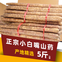 Authentic freshly dug Xiaobaizui yam fresh vegetables 5 pounds of Huaiyam yam iron rod iron vegetable whole box