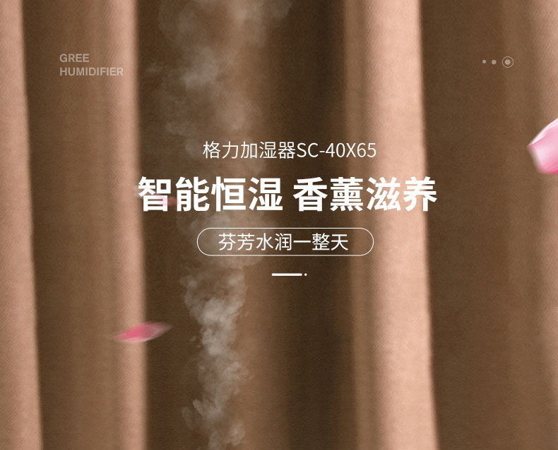 格力 智能恒湿净化空气加湿器 快捷上加水 4L 图1