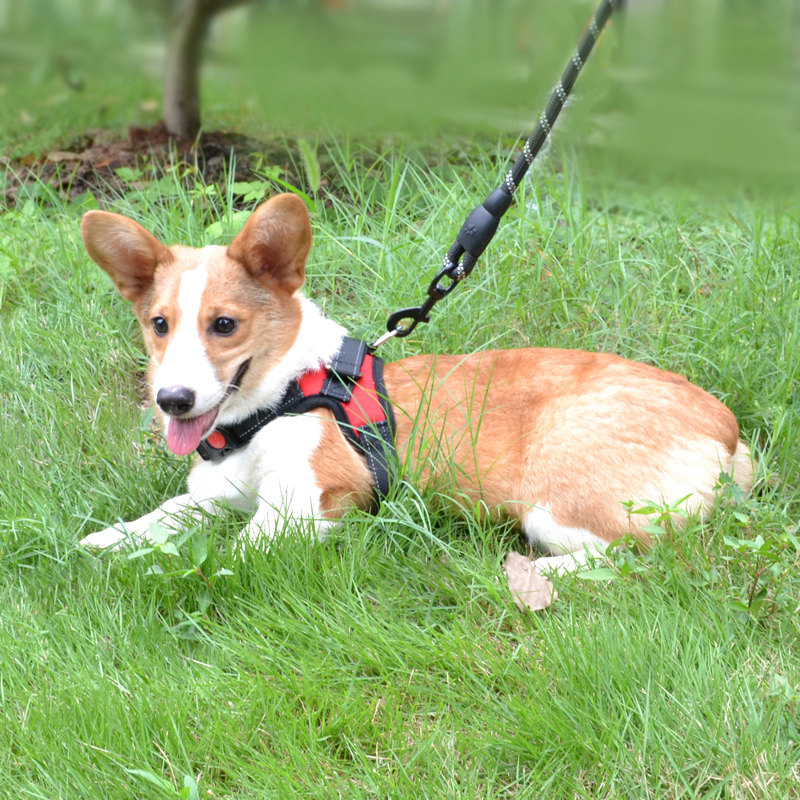 Pet Supplies Dogs Traction Rope Dog Chains Small Medium Dog Breast Cuddling Bag Vest Style Kiri Teddy Dog Necklace