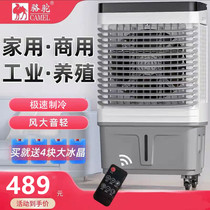 Camel Industrial Cold Blower Large Commercial Water Air Conditioning Fan Domestic Dormitory Small Air Conditioning Refrigeration Fan Breeding Xinjiang