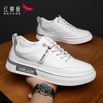 Red dragonfly mens shoes summer 2021 new British leather shoes white casual board shoes men breathable thick-soled tide shoes