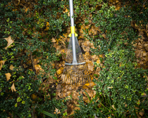 Gardening telescopic adjustable rake Dead leaf rake Lawn rake Multi-tooth rake weeding tool rake