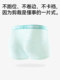 Catman Teen Underwear Boys' Pure Cotton Developmental Period Antibacterial Boxer Briefs Junior High School Students Older Children Boxer Shorts