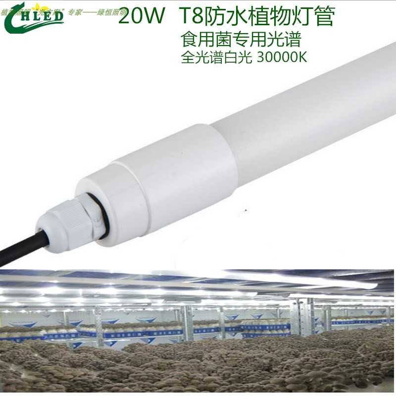 T8 w防水植物灯管食用菌补光灯食用菌专用led补光灯全光谱白光