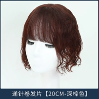 Quanzhen посылает иглы [20 см-темно-коричневые]