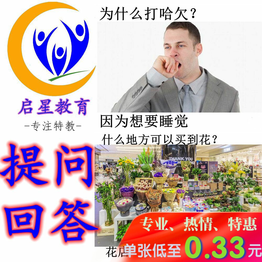 Question Answer Card View Speaking Language Developmental ASD Autism Rehabilitation Training Training Tools