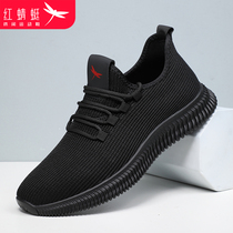 Red Dragonfly Mens Shoes Deodorant Flying Textile Shoes Men Light Soft Bottom Brands Shoes Sports Casual Shoes Summer Thin breathable