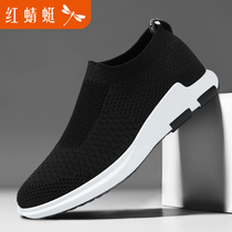 Red Dragonfly Mens Shoes Brands Sloth Shoes Men One Foot Pedal Sports Casual Shoes Overdraft Air Netting Shoes Middle-aged Dad Summer