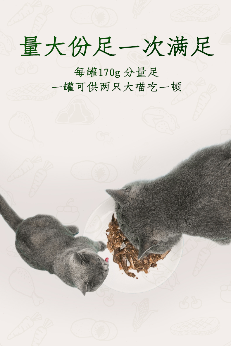 恩琦金枪鱼猫咪罐头170g*6罐