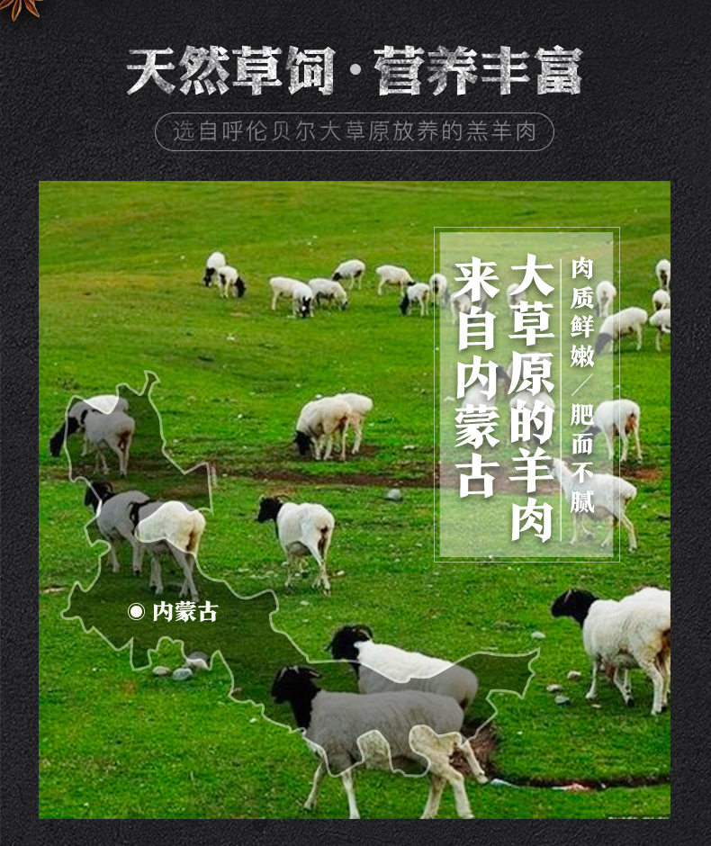 东来顺 羊肉串 200g*6 内蒙散养清真羔羊肉串 图4