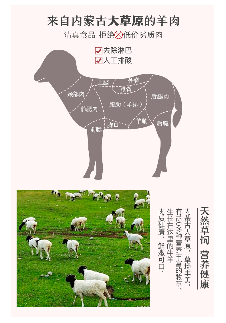 中华老字号 东来顺 羊蝎子 3斤 内蒙清真新鲜羊脊骨 图4