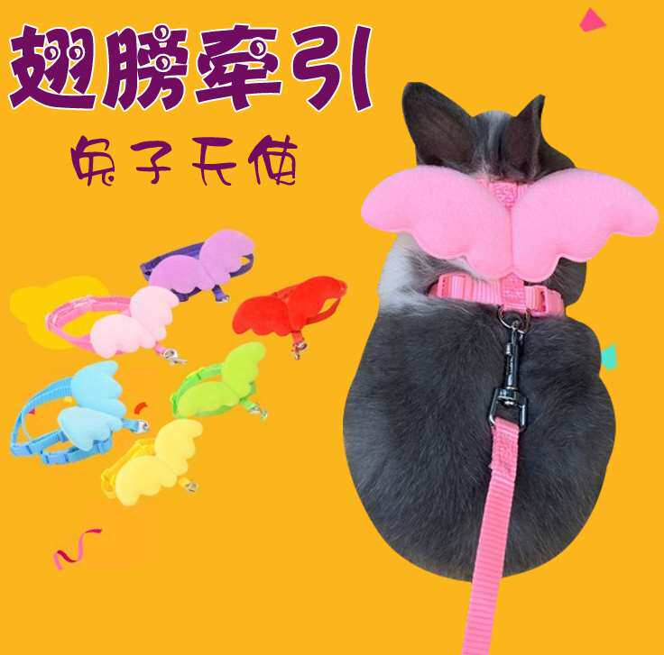 Totoro traction rope with Dutch pig vest pet rope guinea pig rabbit squirrel walking rope
