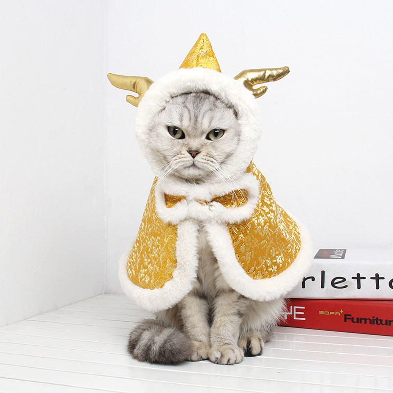 Guitzai Pet clothes kitty Down with New Chinese New Year's clothing New clothes for cat and cat autumn and winter Chinese wind dragon corner cloak clothing