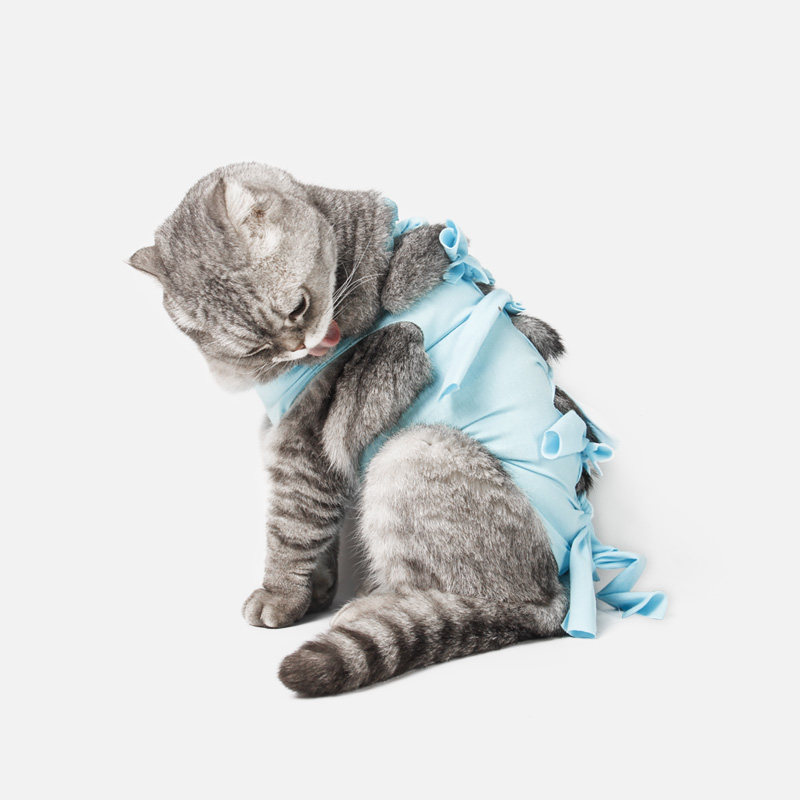 Jizai cat clothes female cat sterilization clothing surgical clothing anti-licking and scratching pet supplies breathable postoperative clothing cat supplies