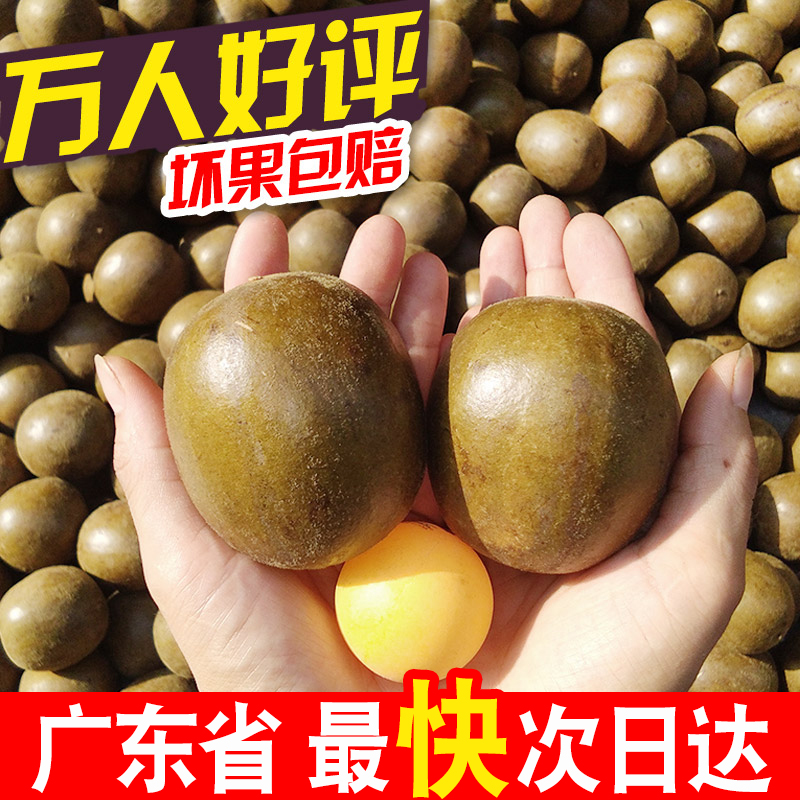 Luo Han Guo dried fruit Guangxi Guilin specialty special grade bulk Yongfu Luo Han fruit flower tea Non-wild tea