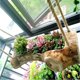 ຊັ້ນສູງ trough ໄມ້ succulent flower pot ໄມ້ pile ພູມສັນຖານ balcony ສວນ potted ສ້າງສັນກ່ອງດອກໄມ້ cactus ໄມ້ trough ດອກໄມ້