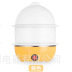 nồi lẩu mini có nấu cơm được không Mảnh khung thép không gỉ một lớp 7 quả trứng tự động tắt thiết bị gia dụng đôi hấp trứng luộc sản xuất - Nồi trứng nồi hấp xôi bằng điện Nồi trứng