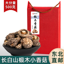 Northeast small dried shiitake mushrooms 500g special linden wood field grade dried shiitake mushrooms without feet to eat raw specialty gift box