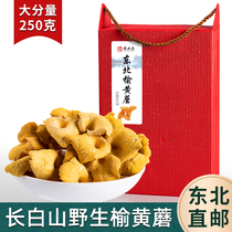 Northeast elm yellow mushroom fresh chanterelle dried goods wild golden mushroom raw yellow silk mushroom Northeast specialty grade gift box