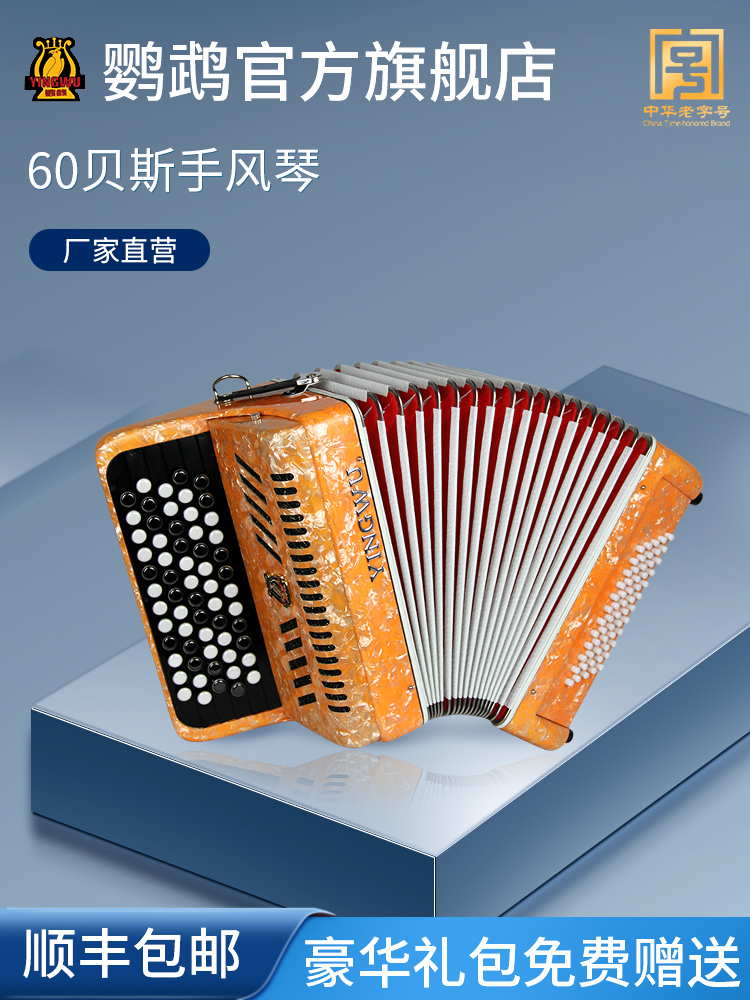 Parrot brand YW-672 accordion 2 rows of springs 62 keys 60 bass BS beginner examination professional playing musical instruments