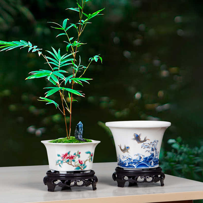 文竹四方小花盆- Top 100件文竹四方小花盆- 2025年11月更新- Taobao