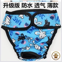 Обновление Thin Blue Rabbit-97E-TN9