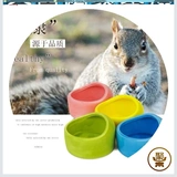 Керамическая чаша с керамической коробкой из чаши, морская свинка ест круглую пищевую миску толстую анти -шлюзируемую кормку домашние животные