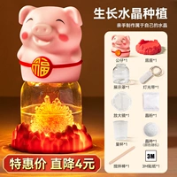 【Кристалл благословенной свиньи】 Атмосфера доставки.