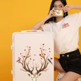 Свежий универсальный чемодан, коробка для путешествий, 20 дюймов, популярно в интернете