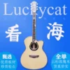 Товары от luckycat乐器旗舰店