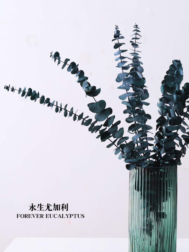 Dried flower bouquet eternal flower eucalyptus leaf in wind high-end creative branch creative desktop decoration decoration living room decoration