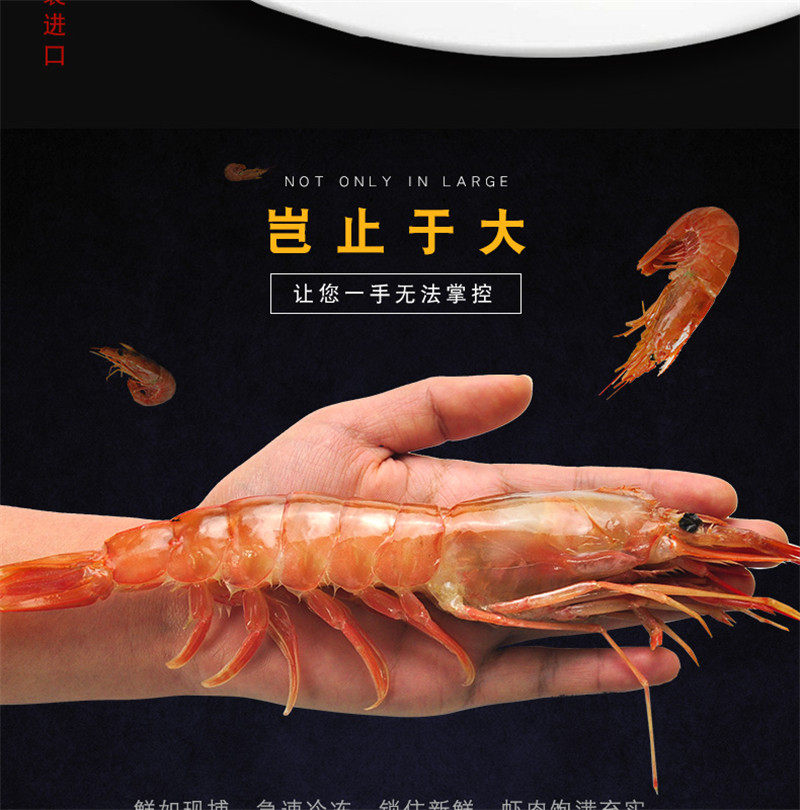 阿根廷进口 L1超大红虾 净重4斤 单只17-19cm 图1