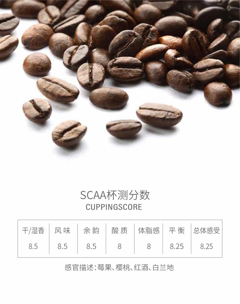 90 Outlook ruixia_04.jpg