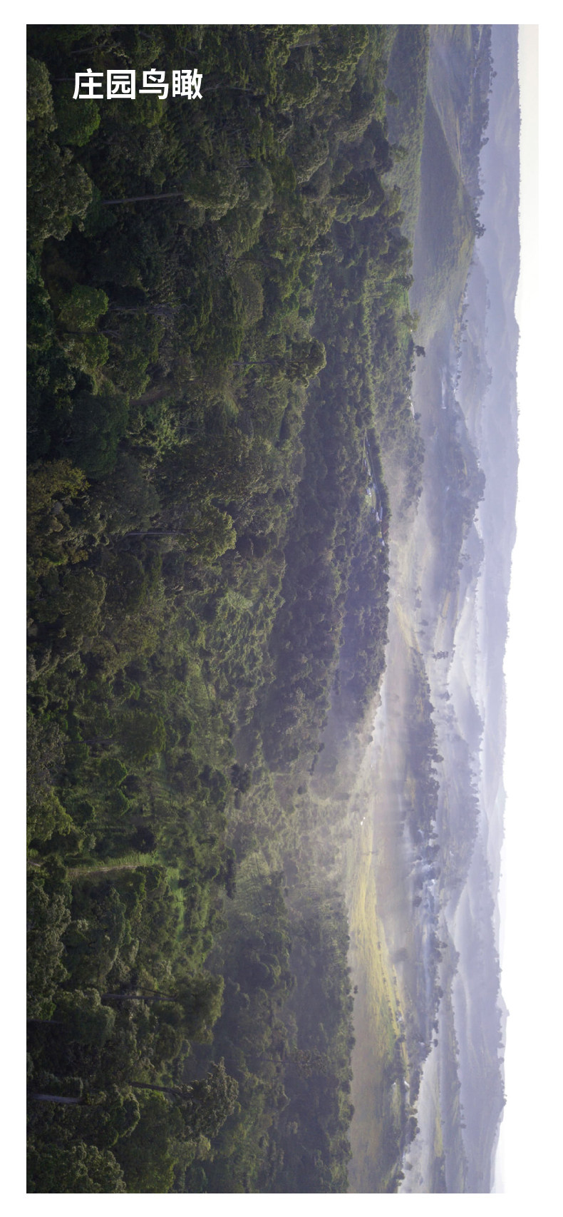 Подробная информация о Ruixia village_03.jpg